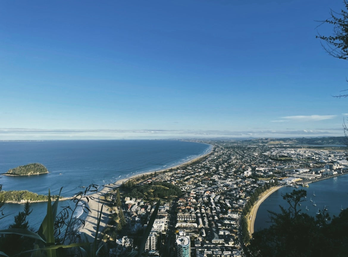 'I was emotionally drenched due to COVID...After 6 months, I’m in a much happier and fulfilling life.'-Former Flight Attendant, Tony, Tauranga, New Zealand